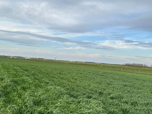 Belgrade Airport Luxury single bed in Surčin
