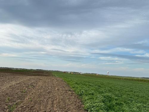 Belgrade Airport Luxury single bed in Surčin