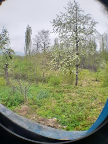 Həzrətqulu Qonaq evi - Rahat Ailəvi Fərdi Çoxotaqlı