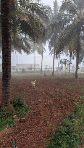 Eeshaavasya Homestay in Bangalore