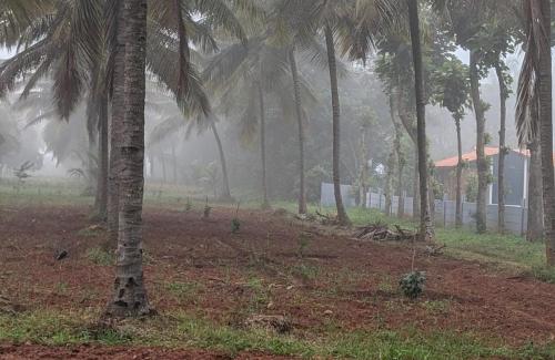 Eeshaavasya Homestay in Bangalore