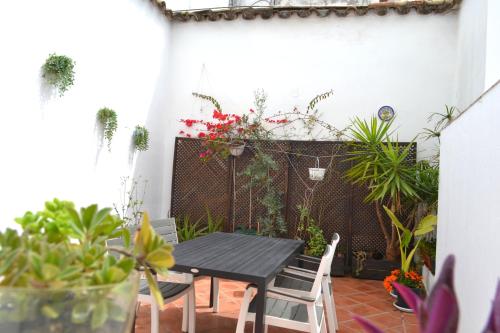 Sunshine Jardin de Orive, Córdoba (fotografie 2)