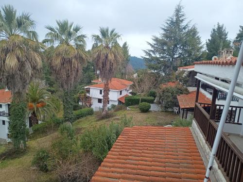 Theo's apartment Theo's apartment