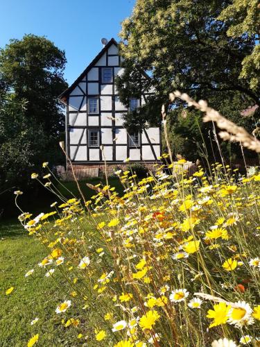 Wildhüterhaus an der Wasserburg