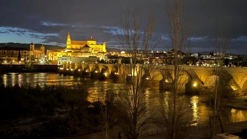 PLAZA ANDALUCIA APARTMENT -A 10min caminando del Puente Romano, Córdoba (fotografie 2)