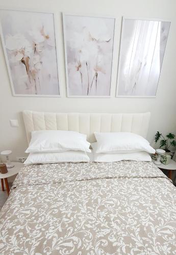 Jasmine Home, Aegina City gîte à louer Apollo Aegina