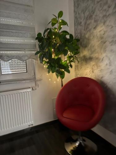 Blessing Unterkunft in zentraler Lage, Štutgart (fotografie 7)