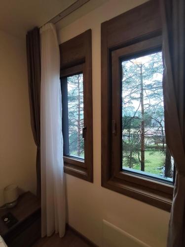 One-Bedroom Apartment image 10