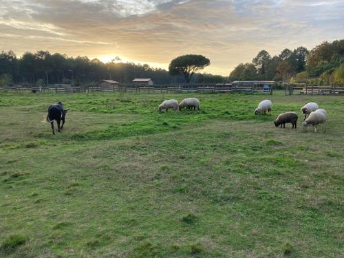 Gîte - La Ferme à la Plage (Gite - La Ferme a la Plage) in 拉溥