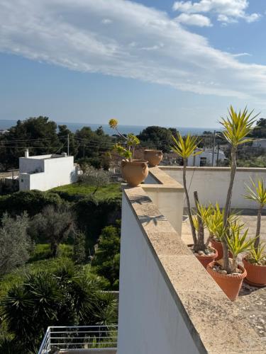 Villa Adaluci Villa Adaluci