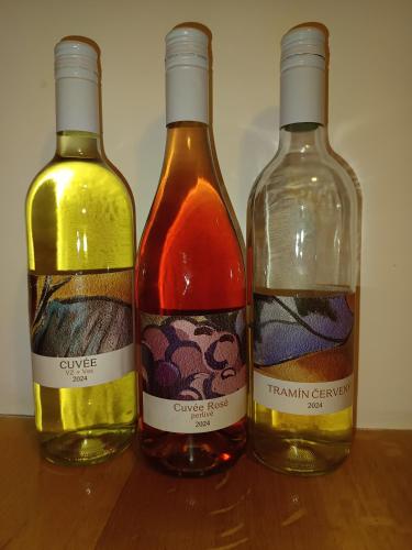 Vinný sklep Kovárna obrázok