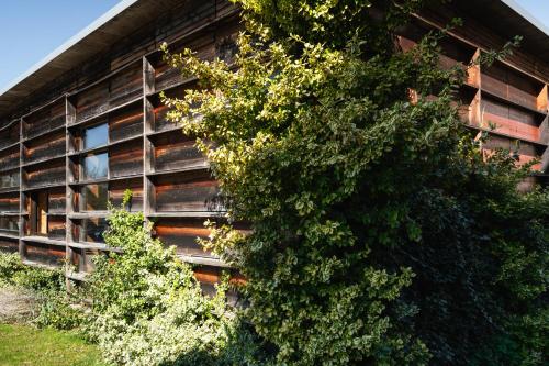 Kert, Die Badeanstalt I Loft Nürnberg I 5 Minuten zu Fuß zum kostenlosen Naturbad I Messenähe I Waldnähe (Die Badeanstalt I Loft Nurnberg I 5 Minuten zu Fuß zum kostenlosen Naturbad I Messenahe I Waldnahe) in Postbauer-Heng