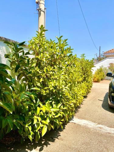 B&B Costa Azzurra 4