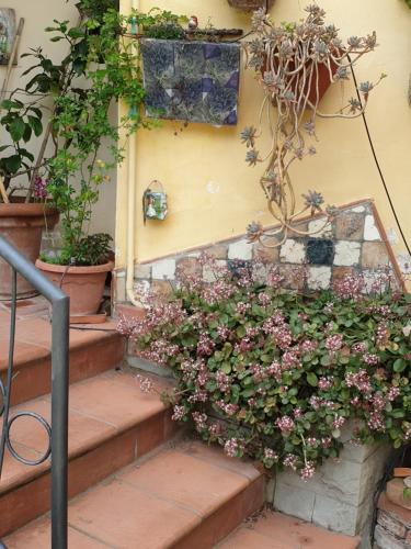 Creativ hause, San Giuliano Terme (fotografie 11)