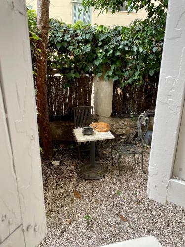 Nice Garden Hotel - image 2