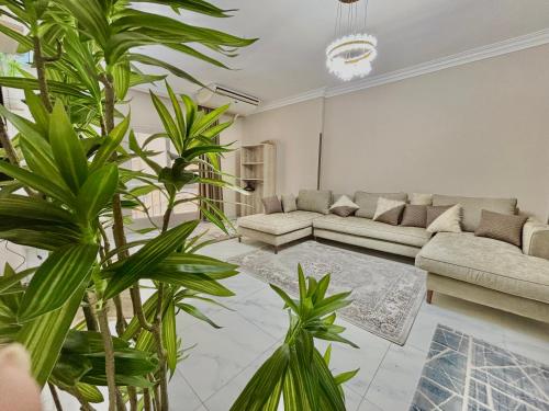 Elite Apartments in Mohandseen - Families only - image 14