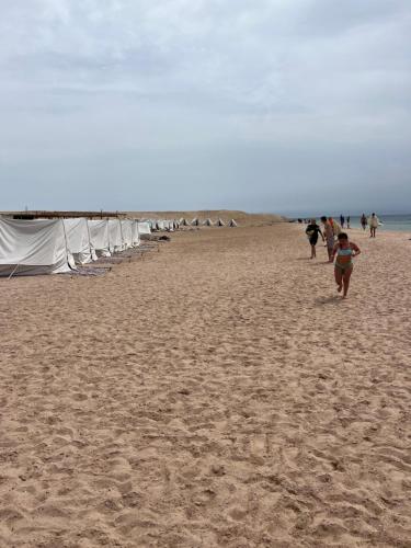 اجمل تخيم في اجمل مناطق طبعيه in City Center