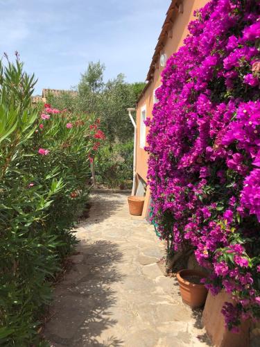 Maison familiale sur la Presqu'île de Giens - Location saisonnière - Hyères