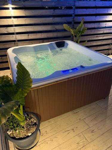 Deluxe Double Room with Pool View image 1