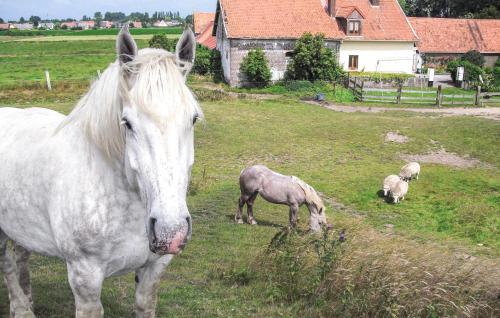 Holiday home Ferme de la Butte J-866 - image 11