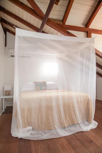 La dilettante in 浩特漁村