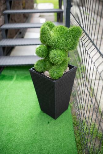 A szálláshely kívülről, Apartman Elephant in Klisa