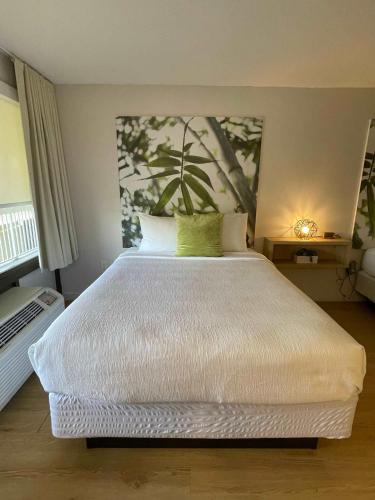 Newly renovated room in cozy hotel near Disney in Kissimmee, USA