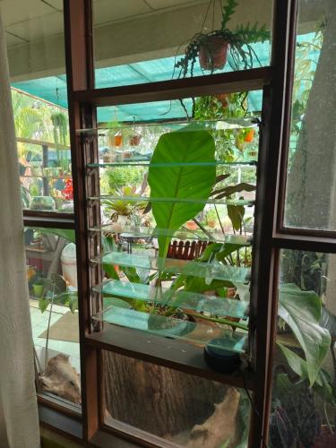 Double Room room in Casa Maranta