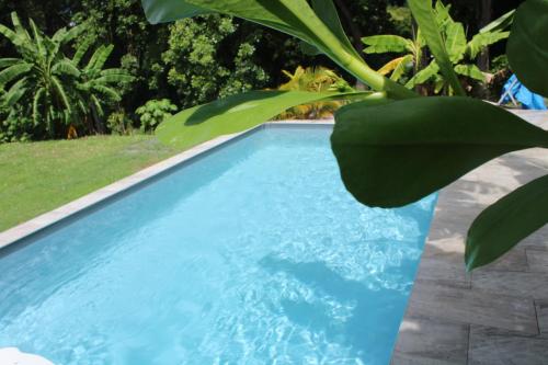 Swimming pool, Gitadeshaies Ti Paradis Nature in Deshaies