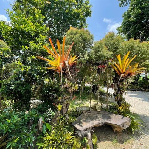 Healing House Holistic Farm stay