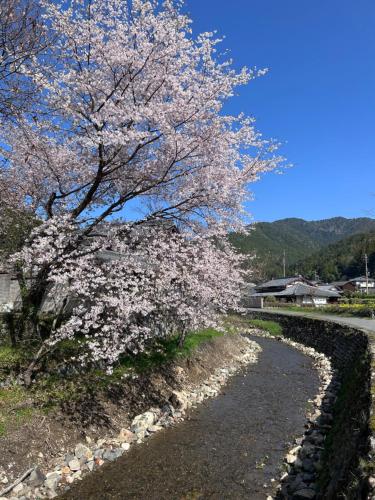 旅荘茶谷日式旅館