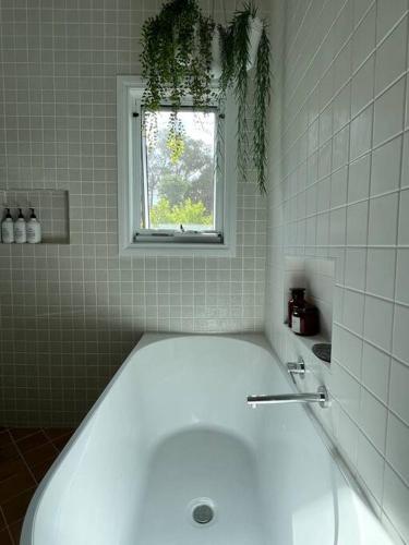 Vannas istaba, Woolly Slopes Country Escape in Porcupine Ridge