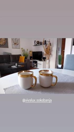 Viva Lux - Location saisonnière - Sokobanja