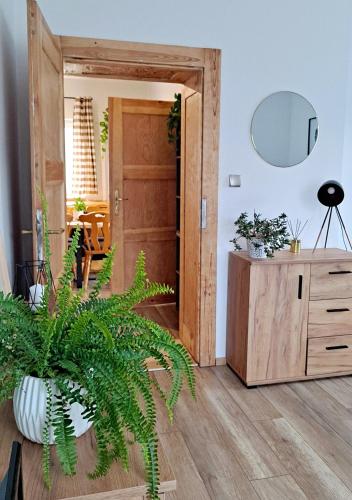 Apartament dzika róża