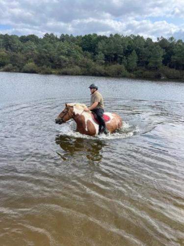 Ratsutamine, Location insolite étang (Location insolite etang) in Le Tatre