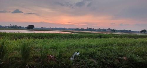d'esaku homestay in Penaga