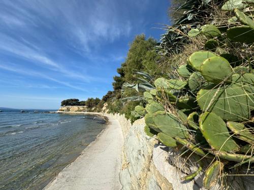 Apartment Lodore del Mare by sea - image 16