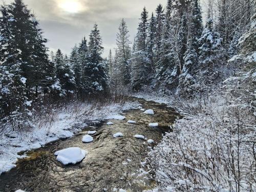Saguenay-Lac-Saint-Jean Getaway 3-Bedroom Holiday Cottage with Garden View in Petit-Bégin (QC)