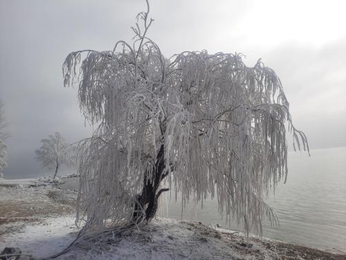 Nirok in Sevan