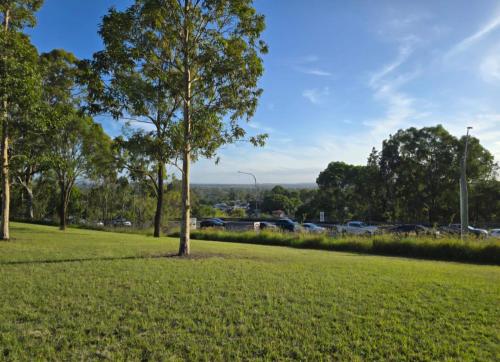 Bluetongue Hideout in Liverpool