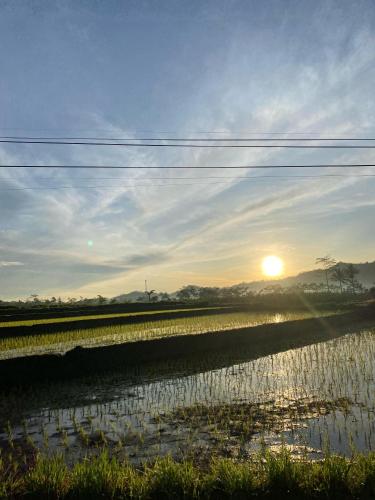Arnez Tropical Cottage in Sumbermujur