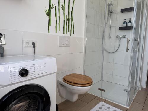 Boutique Studio Apartment Lucca - Parkplatz - Bahnhof in 內城