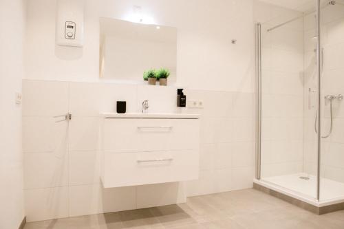 bonquartier - LUXAPT-HAUS - 11 Personen in 5 Apartments mit voll ausgestatteten Küchen, Klimaanlagen und Parkplätzen, Sankt Augustin (foto 7)