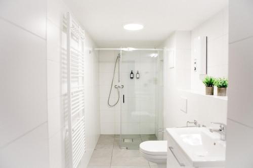 bonquartier - LUXAPT-HAUS - 11 Personen in 5 Apartments mit voll ausgestatteten Küchen, Klimaanlagen und Parkplätzen, Sankt Augustin (foto 4)