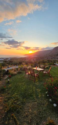 Casa di Olive gîte à louer Drogkári