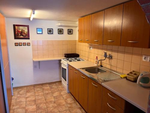 virtuve, Sklípek u Šťavíků Za Valama (Sklipek u Staviku Za Valama) in Cejkovice