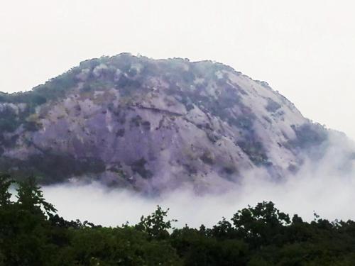 Tipperary Game Lodge - Nelspruit Tipperary Game Lodge - Nelspruit