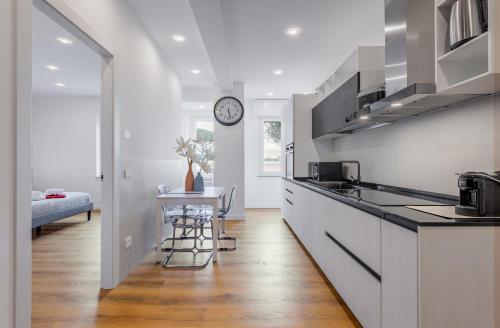 Casa vacanze Delina- Luxury Apartment metro A, Roma (foto 5)