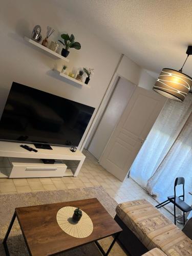 T2 Montpellier plein sud clim wifi terrasse de 16m2 in Alco