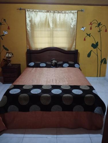 hostal Sueño Paraiso- Observatorio astronómico